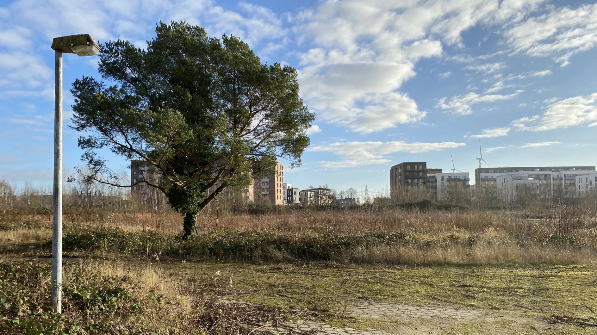 Baufeld Januar 2023